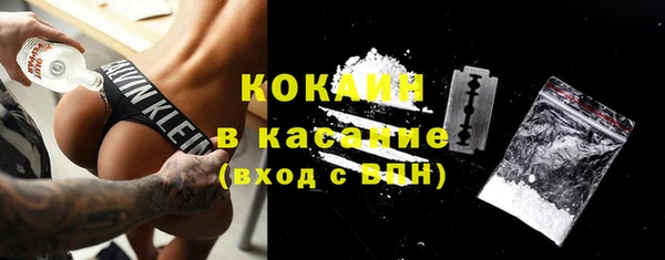 дмт Лиски