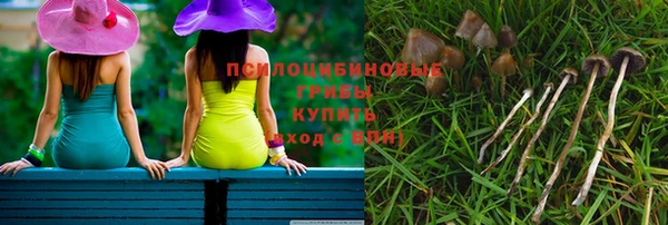 mdpv Магас