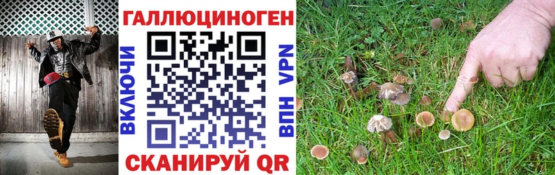 Псилоцибиновые грибы MAGIC MUSHROOMS  МЕГА ссылка  Борисоглебск 