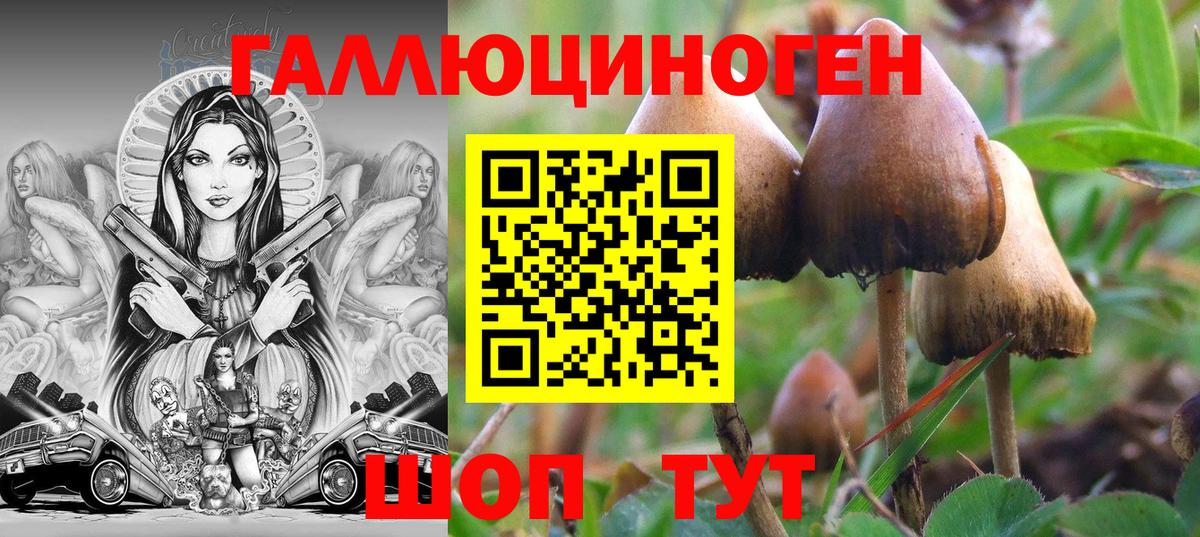 Галлюциногенные грибы Psilocybine cubensis  Вход с VPN  Борисоглебск 