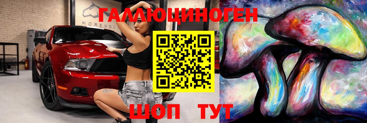 где купить наркотик  Борисоглебск  Псилоцибиновые грибы ЛСД 